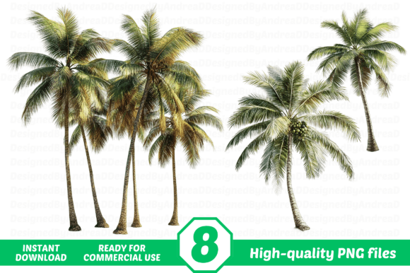 Realistic Palm Beach Clipart PNG: A Versatile Tool for Modern Designers